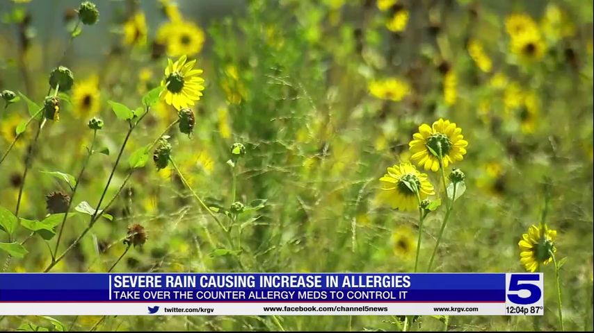 Recent rain causes increase in allergies for some Valley residents