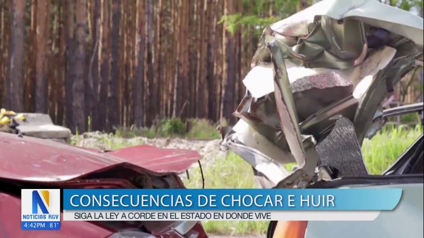 Comunidad: Consecuencias de chocar y huir de la escena