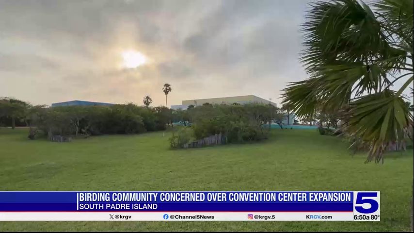 Birding community concerned over South Padre Island convention center expansion