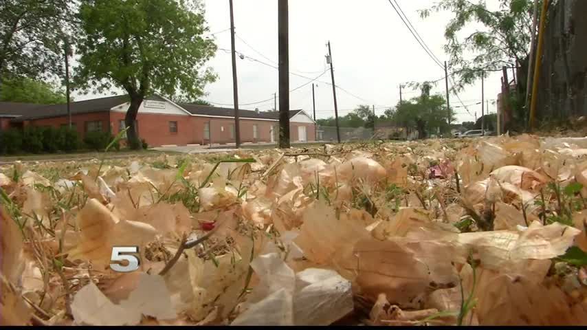 Weslaco Man Wants Solution to Onion Debris Problem
