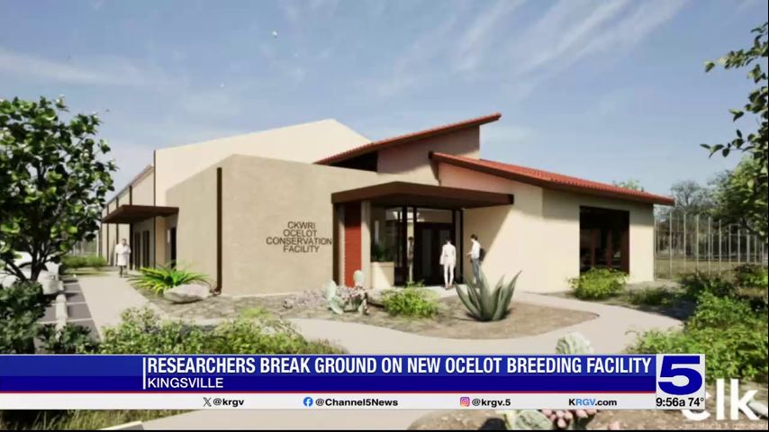 Groundbreaking held for ocelot breeding facility in Kingsville