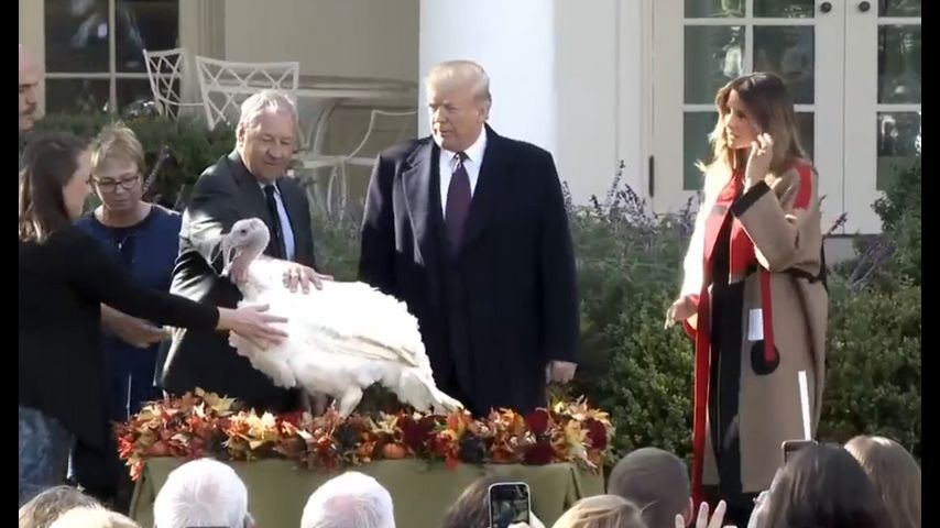 Pardoned Turkeys Will Live Out Their Days At Gobblers Rest