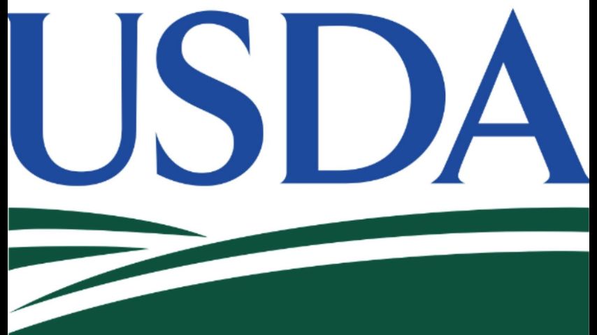 USDA clears way for disaster aid following destructive Louisiana rains