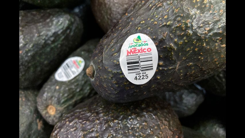 US will gradually resume avocado inspections in conflictive Mexican state, ambassador says