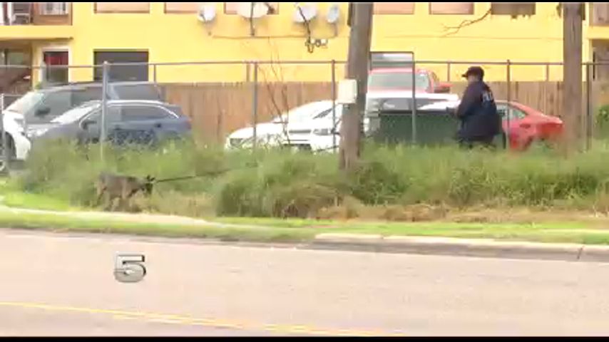 Burglary Call Leads to Search in McAllen