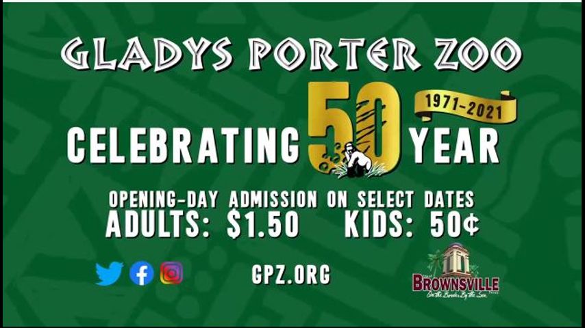 Gladys Porter Zoo celebrating 50th anniversary with discounted tickets