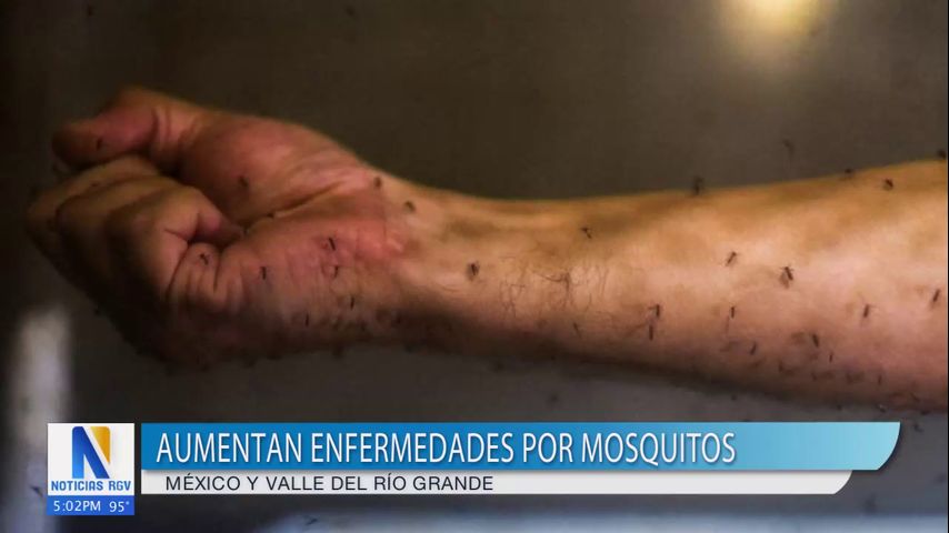 Identifican tres casos de virus del Nilo Occidental en el condado Hidalgo