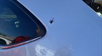Woman shell-shocked after taking gunfire on I-12; police say it happens often