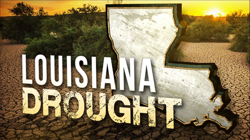 6 Louisiana parishes tagged as disaster areas due to drought