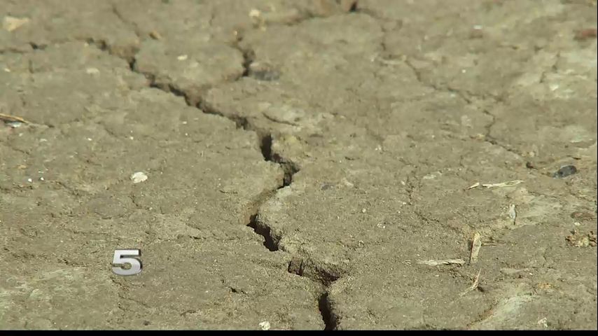 Dry Conditions Concerning Citrus Growers