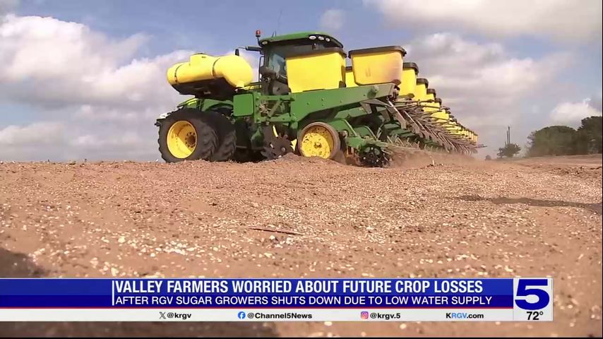 After RGV Sugar Growers shutdown, Valley farmers worried about future crop losses