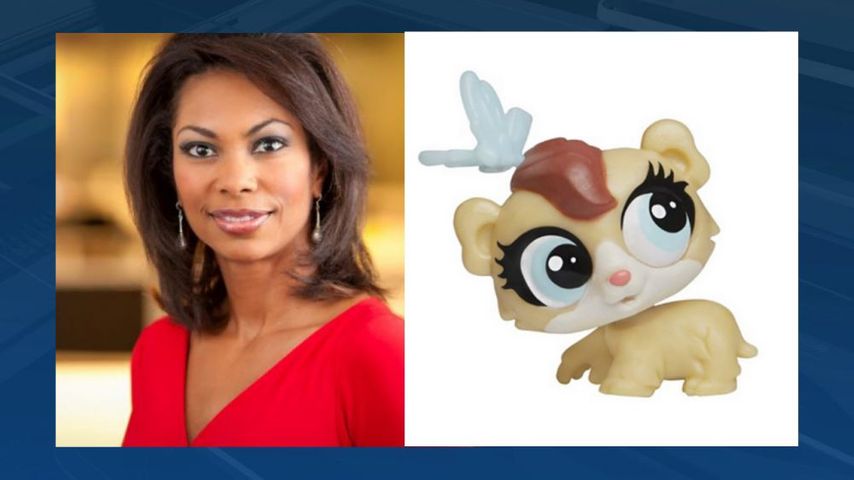 Fox News Anchor Sues Hasbro Over Toy Hamster With Her Name