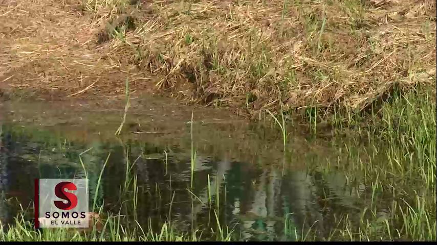Hombre de Donna pide solucion tras múltiples inundaciones en su propiedad