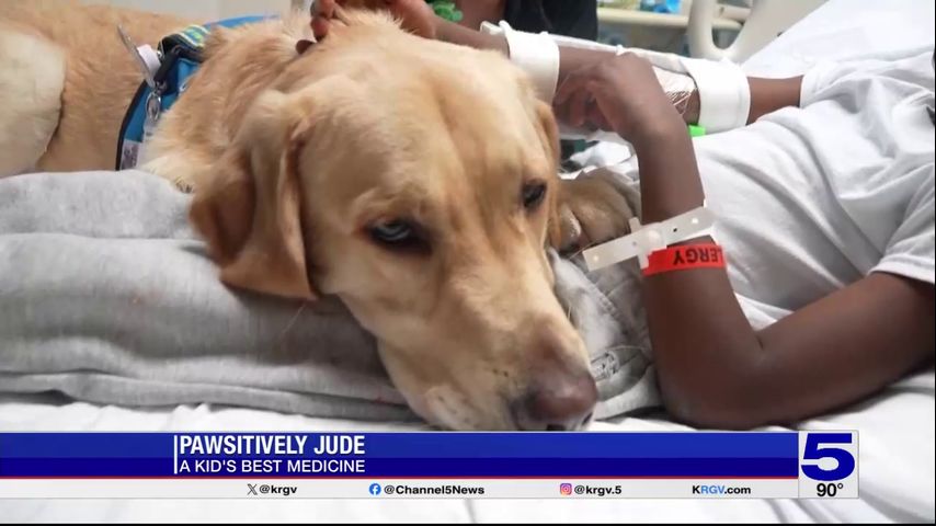 Kid's Best Medicine: Facility dog helping pediatric patients