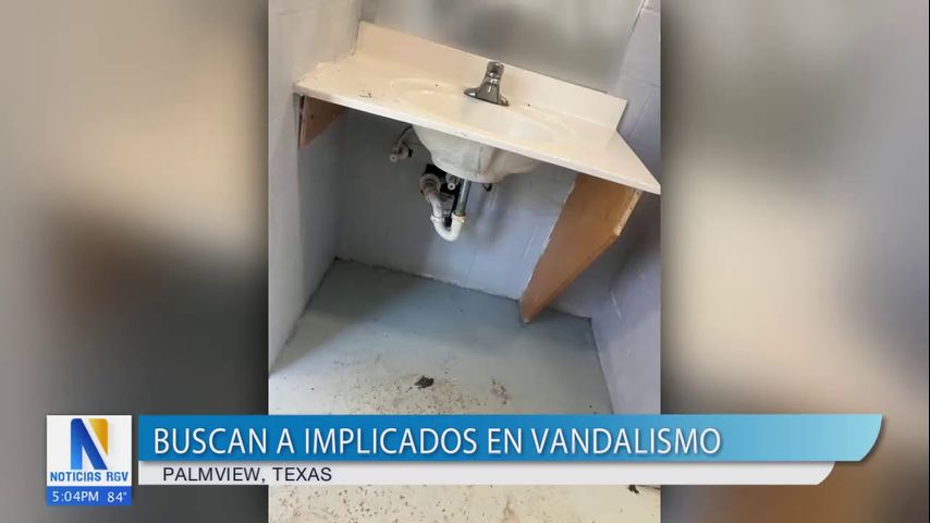 Buscan implicados en caso de vandalismo en Palmview