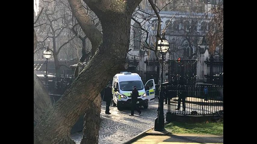 UK police use Taser on man who made it past Parliament gate