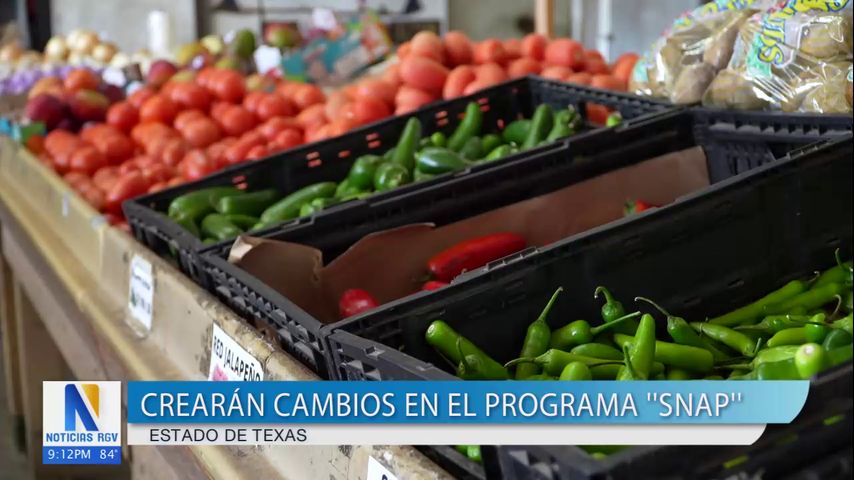 Crearán cambios en el programa SNAP