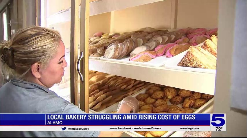 Alamo bakery struggling amid rising cost of eggs