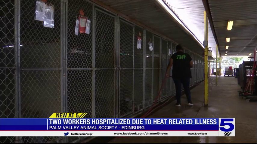 Palm Valley Animal Society employees hospitalized with heat related illness - Vimarsana News