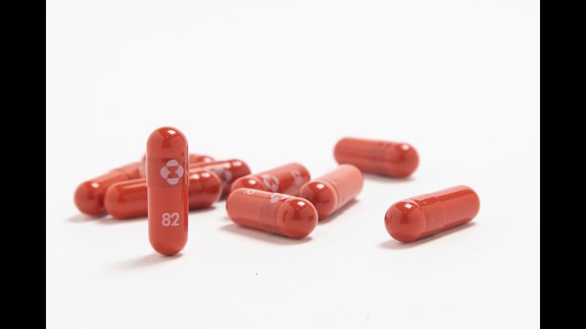 Merck asks US FDA to authorize promising anti-COVID pill
