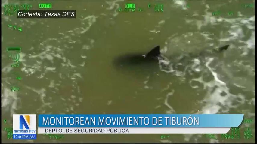 Video de seguridad pública muestra monitoreo aéreo de tiburón en la playa