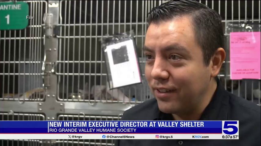 RGV Humane Society executive director resigns, interim appointed