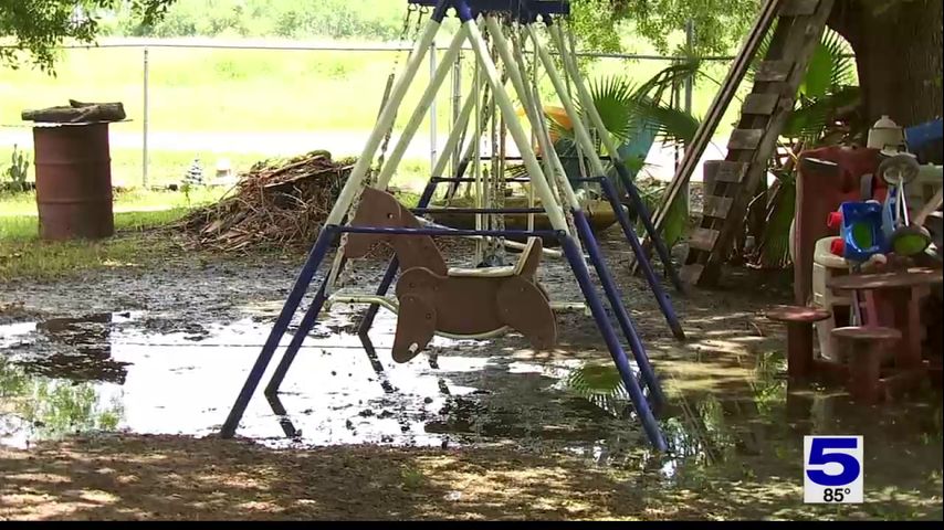 Donna residents concerned over mosquito increase after heavy rains