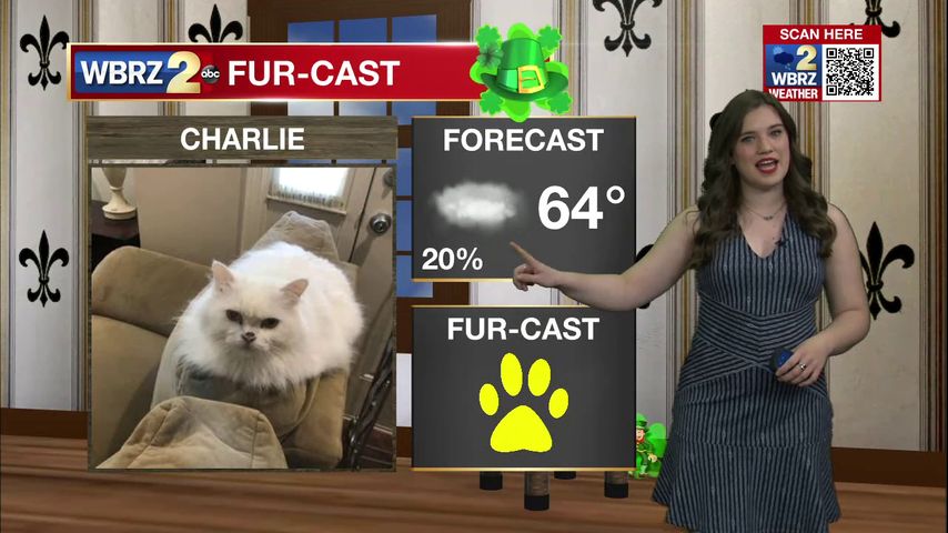 Charlie Fur-cast