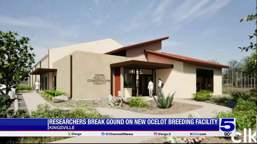 Groundbreaking held for ocelot breeding facility in Kingsville