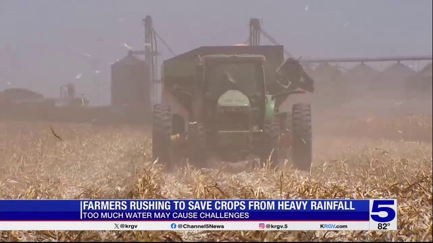 Valley farmers harvesting crops before storm hits
