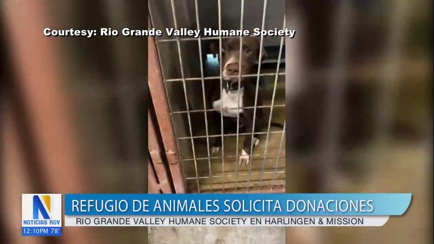 RGV Humane Society solicita ayuda de la comunidad