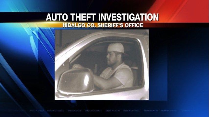 Authorities Seek Help to Identify Person of Interest in Auto Theft
