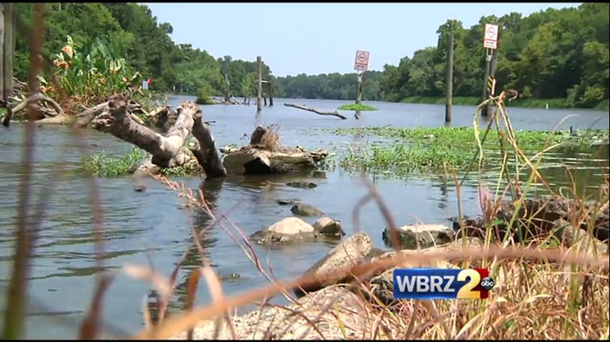 Lower Amite River plagued with shallow, stagnant water