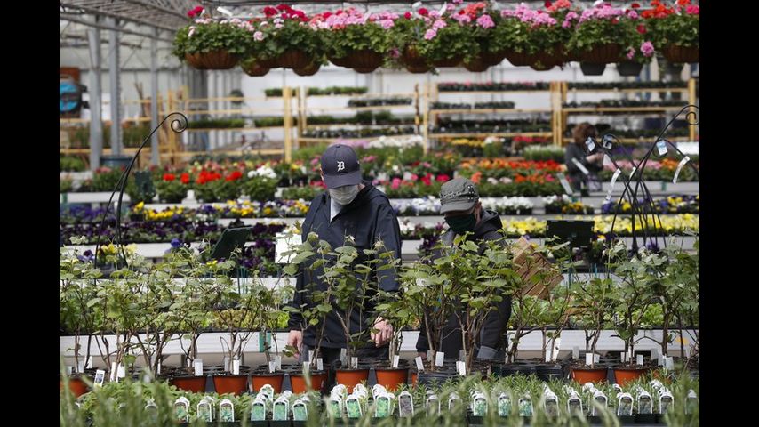 Companies seek to limit legal liability for virus infections