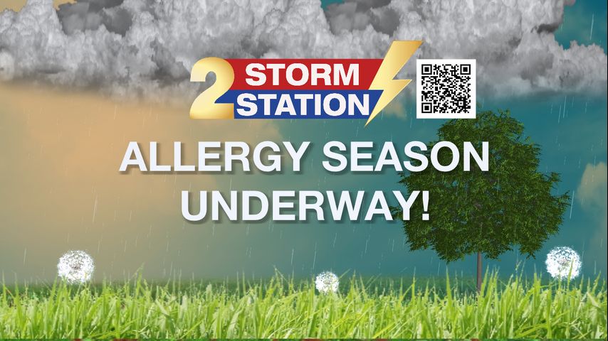 Spring Weather: Your Ally or Adversary in Managing Allergies?