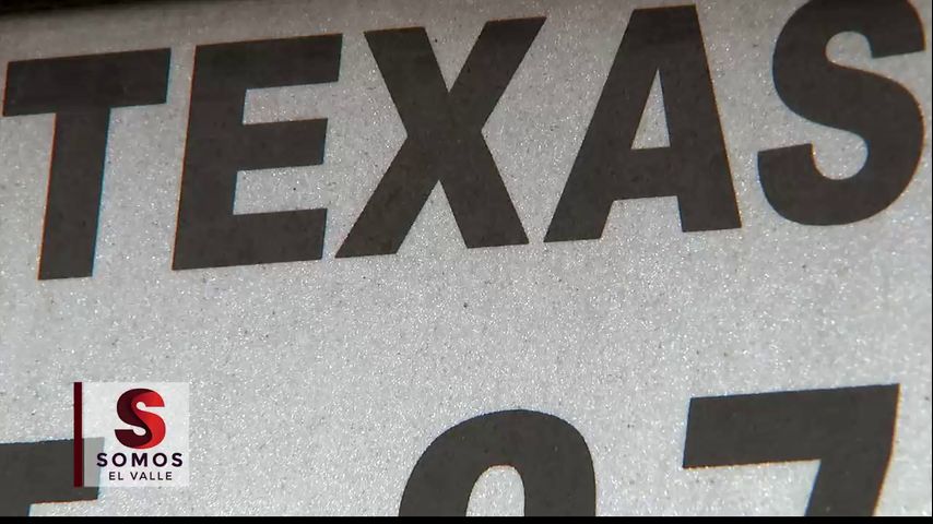 Frecuencia de Vehiculos con Placas Falsas en Texas