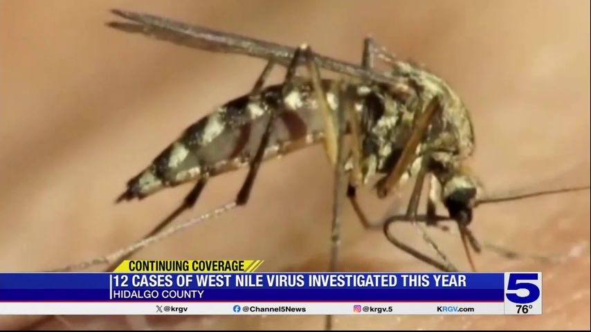 Potential cases of locally acquired mosquito-borne illnesses identified in Hidalgo County