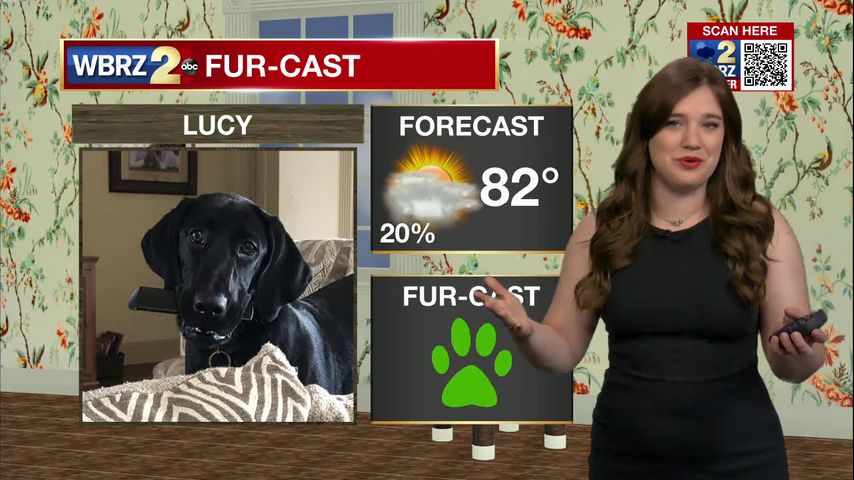 Lucy Fur-cast