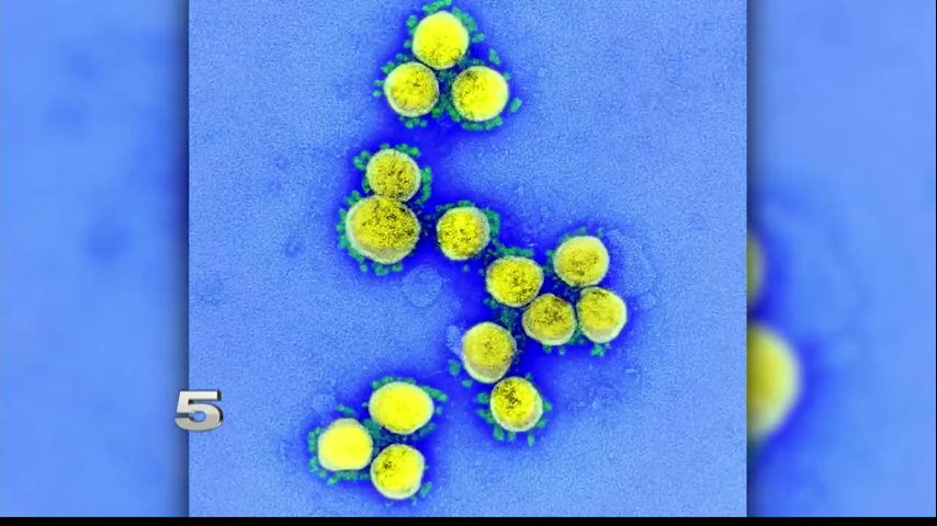 Cameron County confirms 17 additional coronavirus-related deaths, 425 new cases