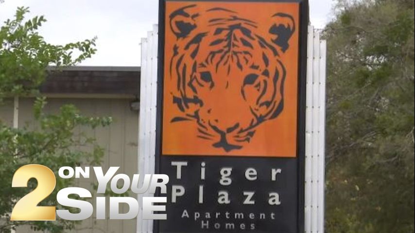 OrDueRxqQcDeXDoILG5s3AtEr5tSoSYV54eh30aL