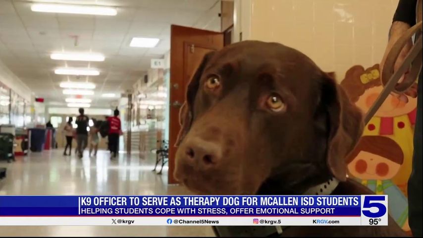 K9 officer to serve as therapy dog for McAllen ISD students