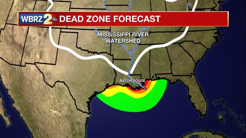 NOAA forecasts very large dead zone for Gulf of Mexico