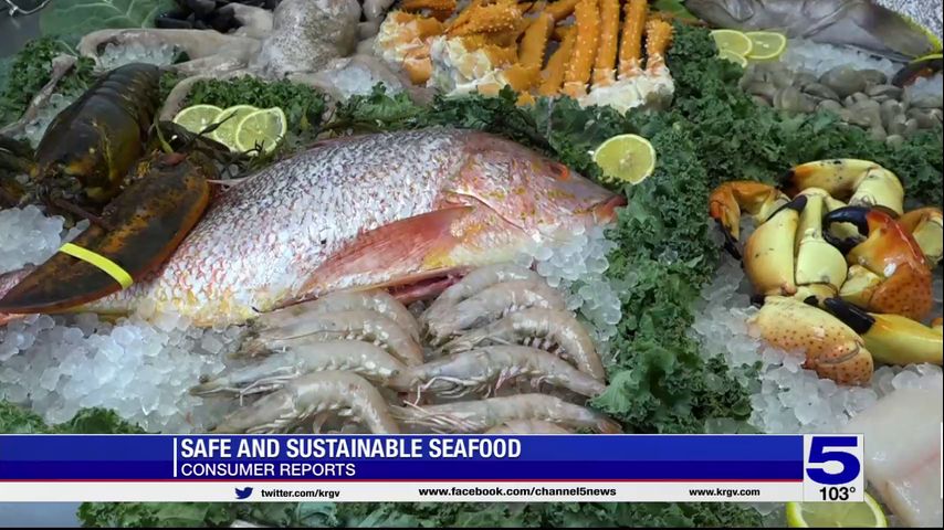 Consumer Reports: Safe and sustainable seafood