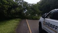 TEAM 2 TRAFFIC: Tree blocking part of I-10 west in West Baton Rouge Parish cleared