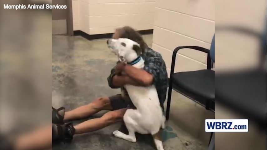 Homeless man reunites with missing dog in heartwarming video