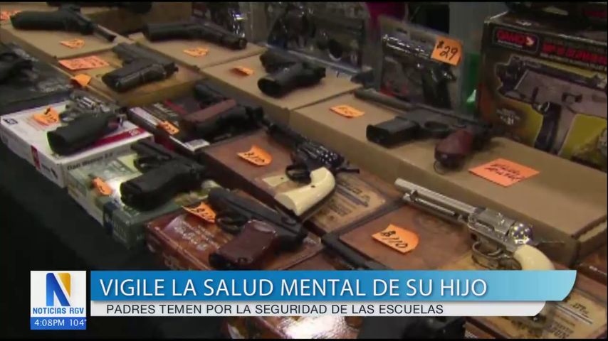 Psiquiatras estudian el comportamiento de los portadores de armas en las escuelas