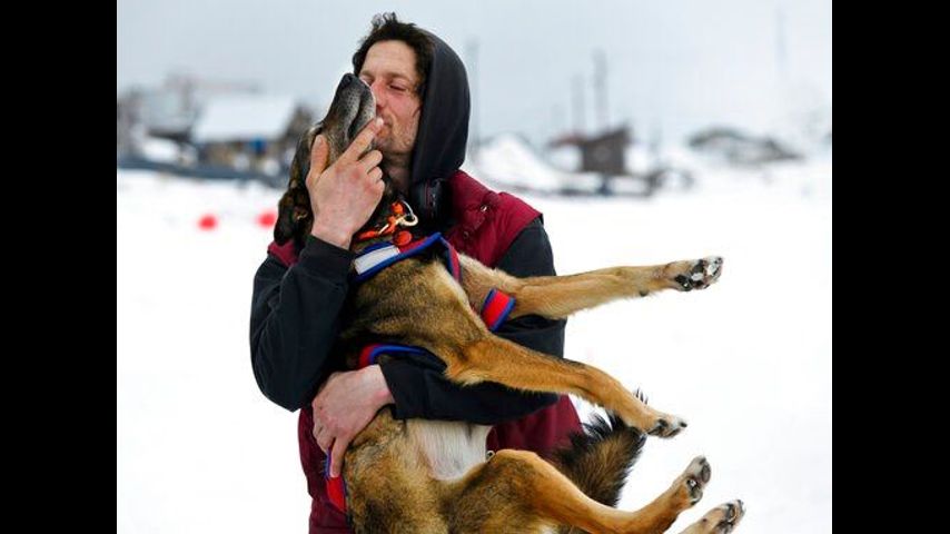 Dogs quit on French musher; New leader in the Iditarod