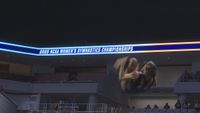 LSU gymnastics falls short of third straight NCAA National Championship appearance