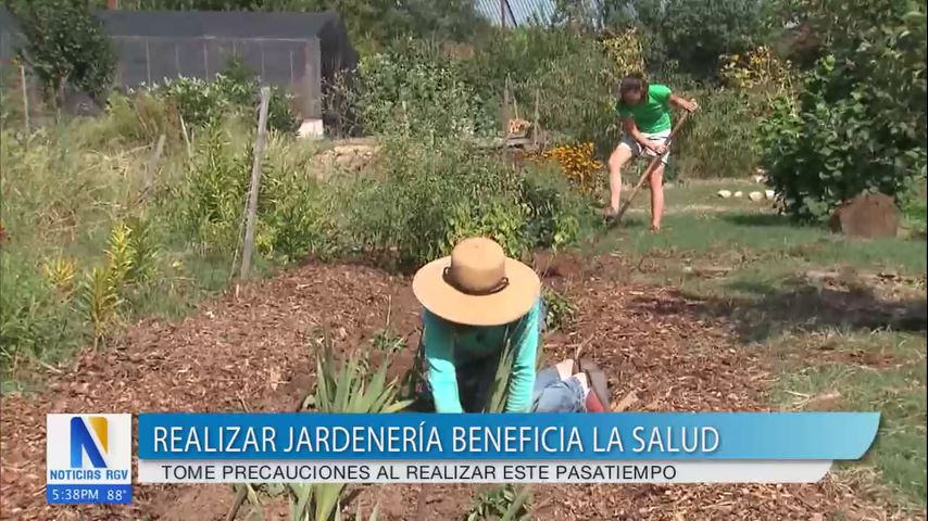 Salud y Vida: Beneficios de realizar jardinería