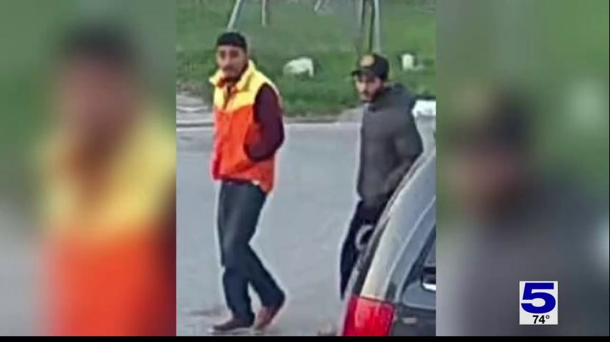 Brownsville police seeking suspects in pug theft